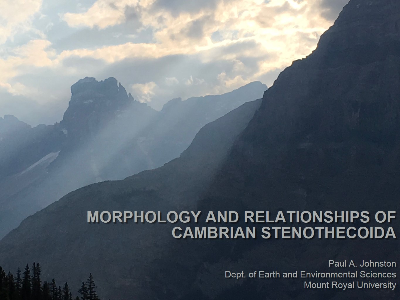 湖北省地质学会---Morphology and relationships of the